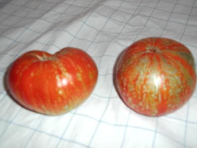 rgh1312379320n.JPG