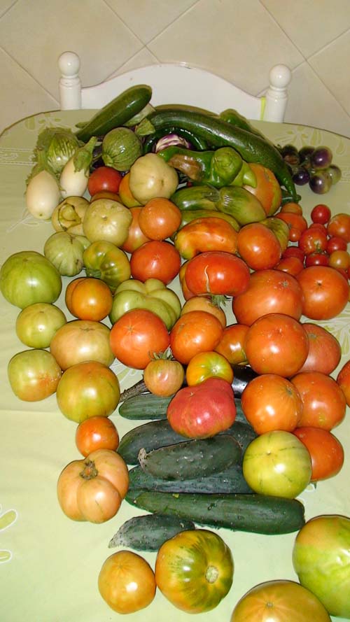 rgh1312381442y.JPG