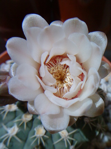 rgh1312392450q.JPG