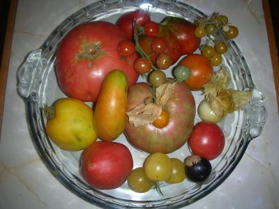 rgh1312409621d.JPG