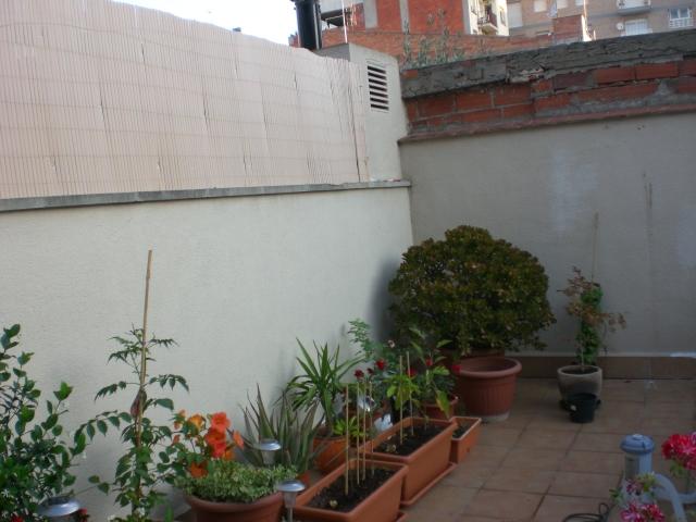 rgh1312442942a.jpg