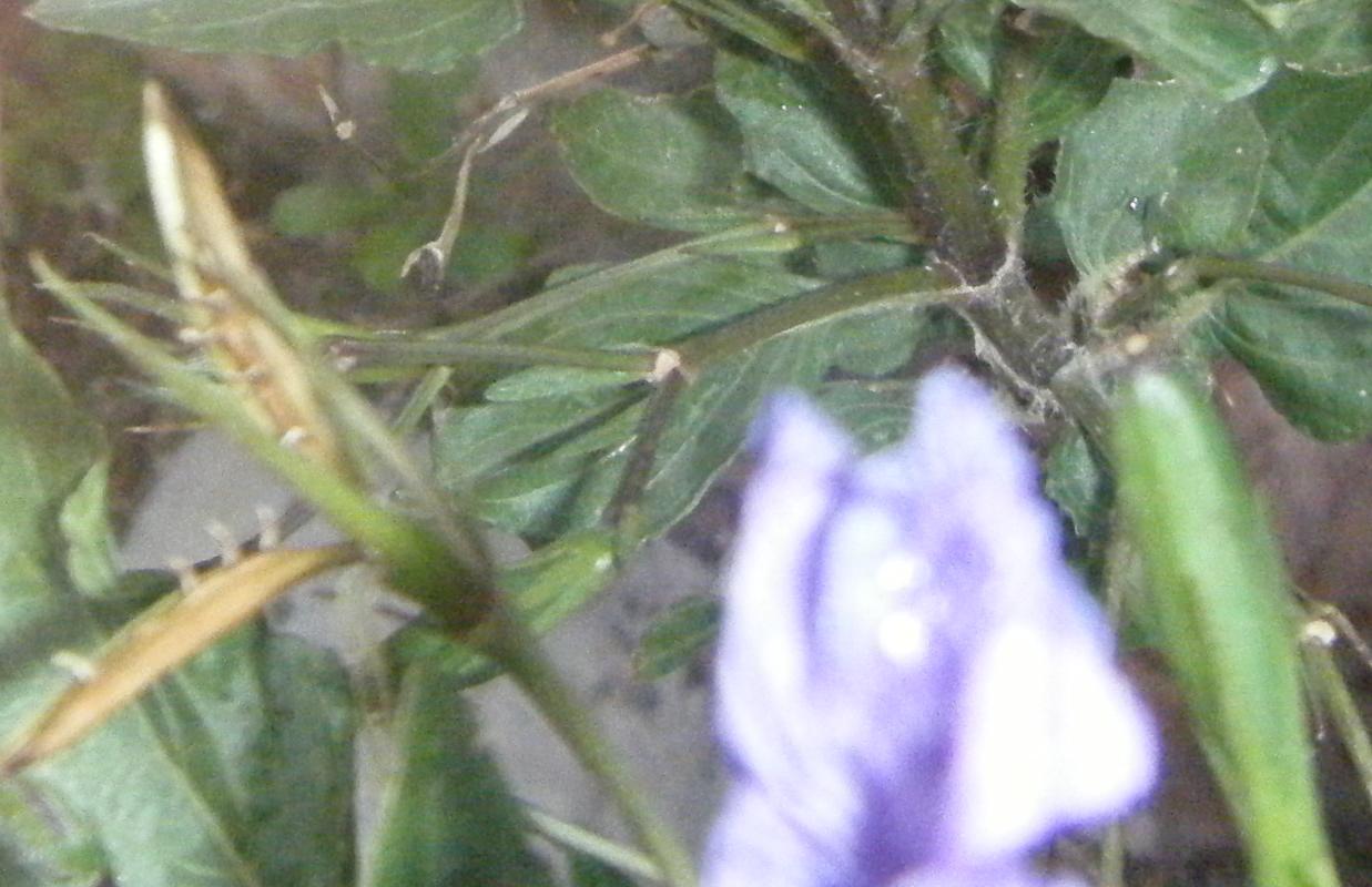 rgh1312489902g.jpg