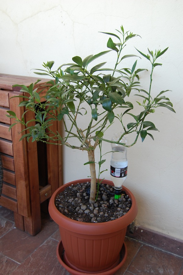 rgh1312538358u.JPG