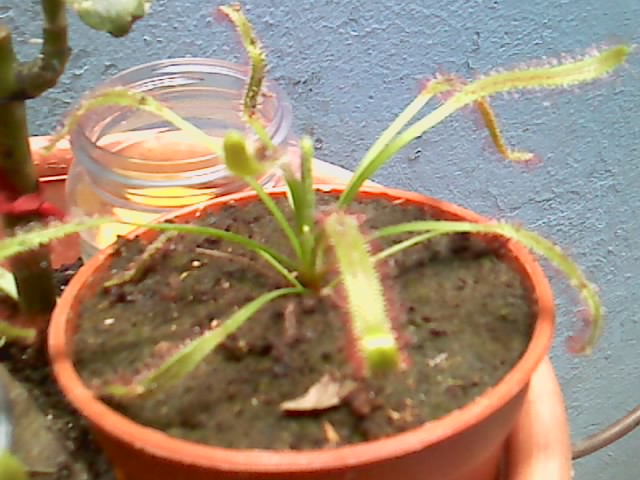 rgh1312653860f.jpg
