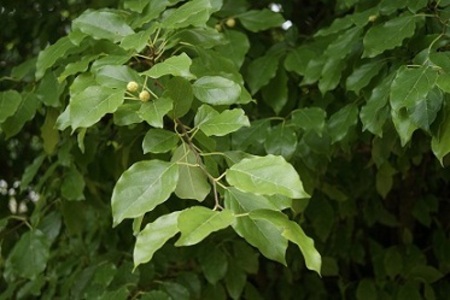 rgh1312710027y.jpg