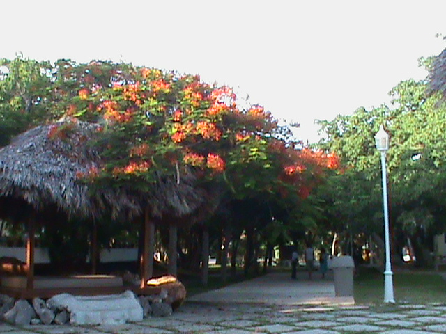 rgh1312745051y.JPG