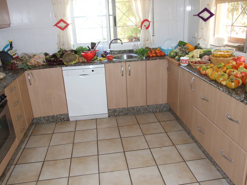 rgh1312839395d.jpg
