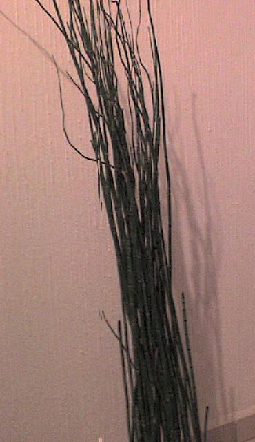 rgh1312861757l.JPG