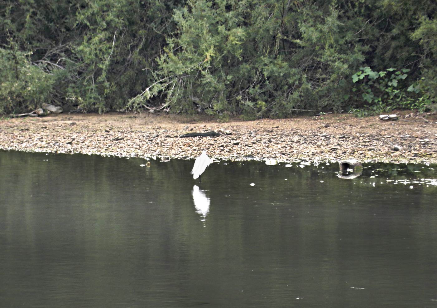 rgh1313067007p.jpg