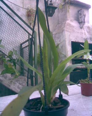 rgh1313079221e.jpg