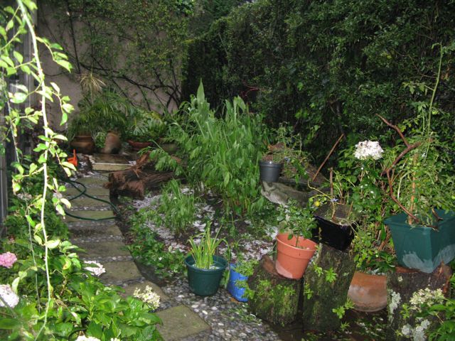 rgh1313111010s.jpg