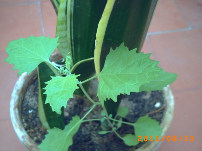 rgh1313238047t.jpg