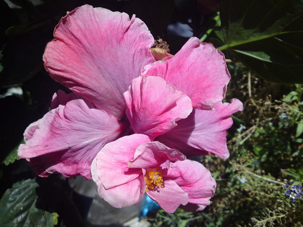 rgh1313425409v.JPG