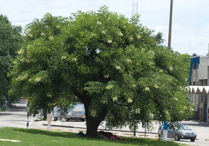 rgh1313620059o.jpg