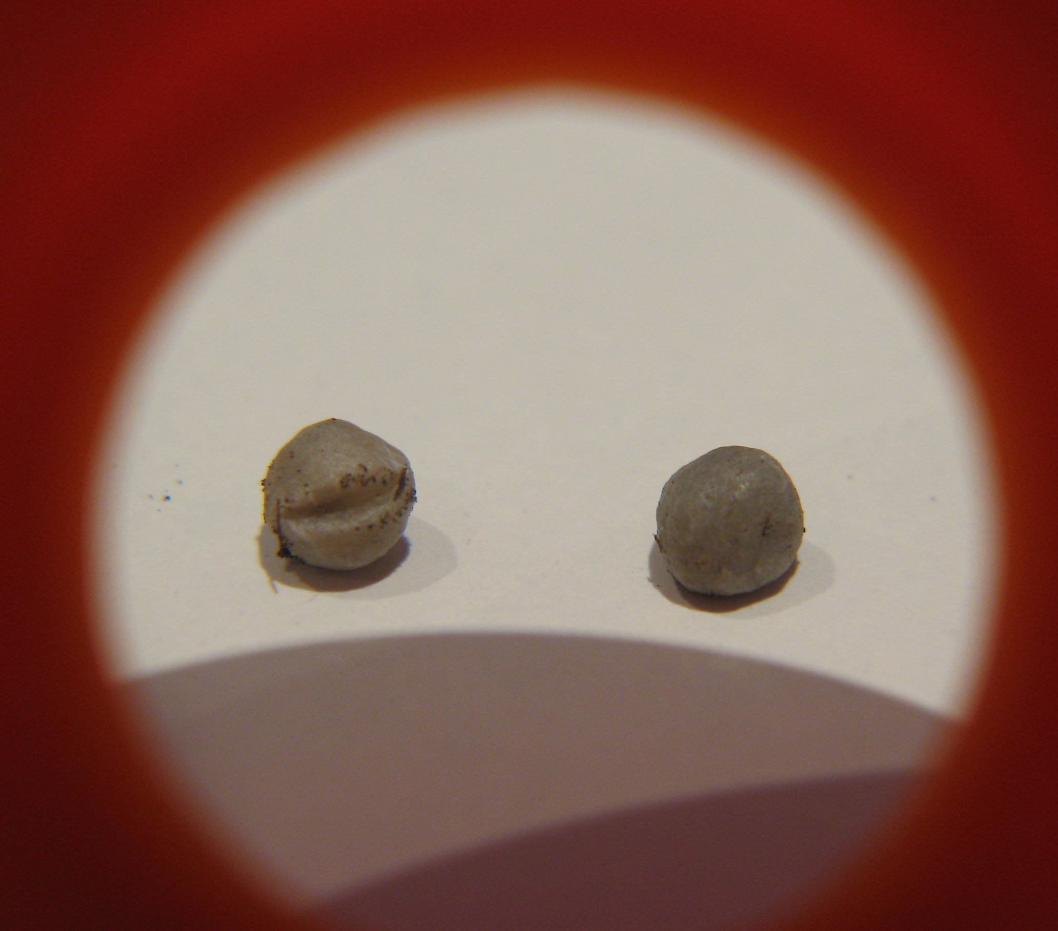 rgh1313657086h.JPG