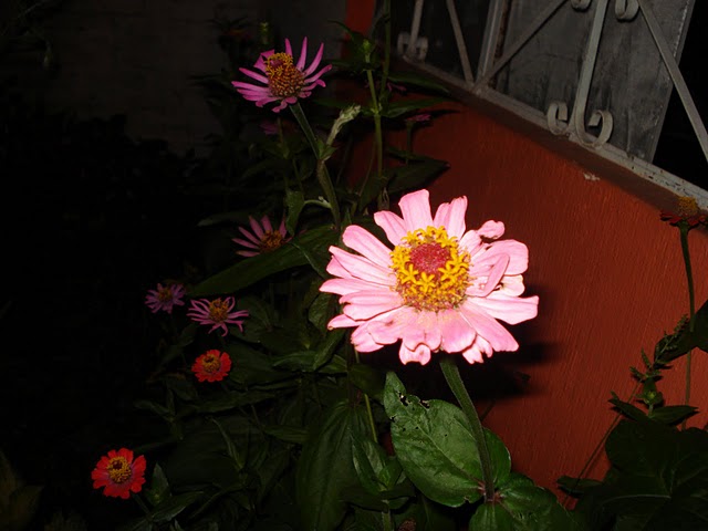 rgh1313711298a.JPG