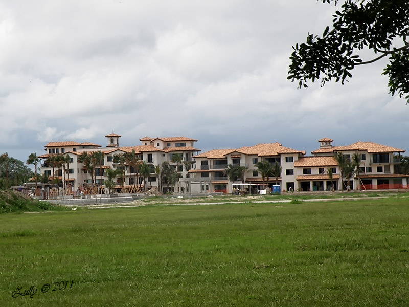 rgh1313726254o.jpg