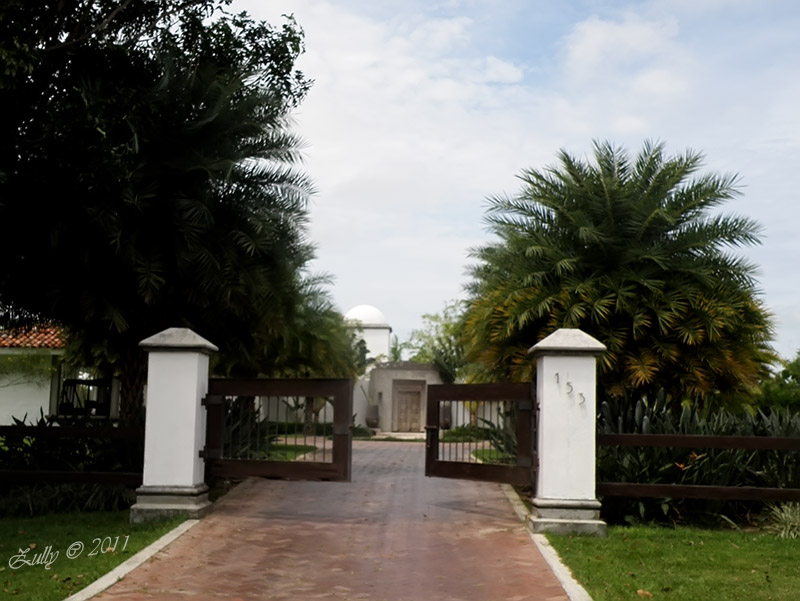 rgh1313782600h.jpg