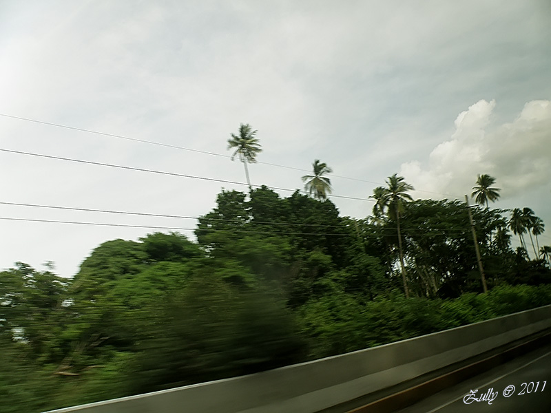 rgh1313793449p.jpg