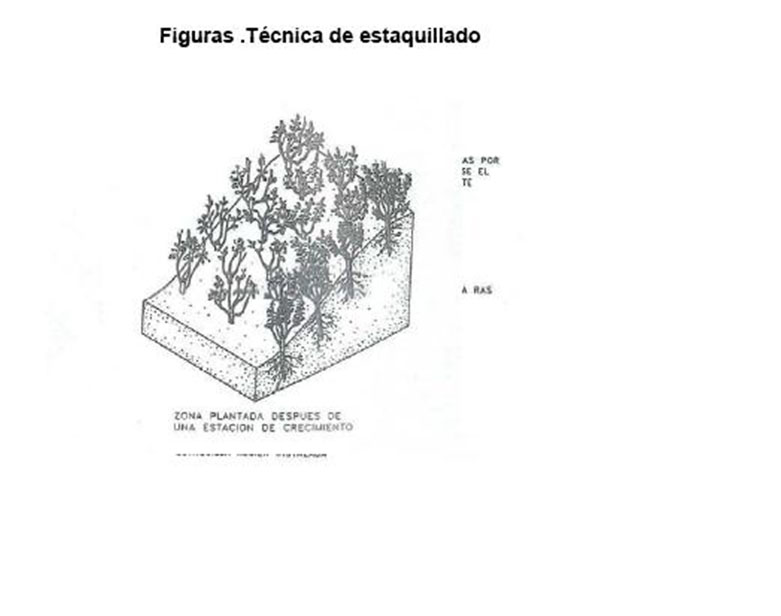 rgh1323136364t.jpg