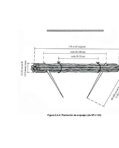 rgh1323136499k.jpg
