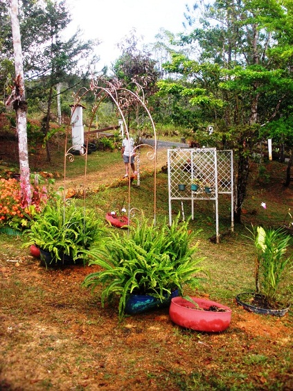 rgh1328576590d.JPG