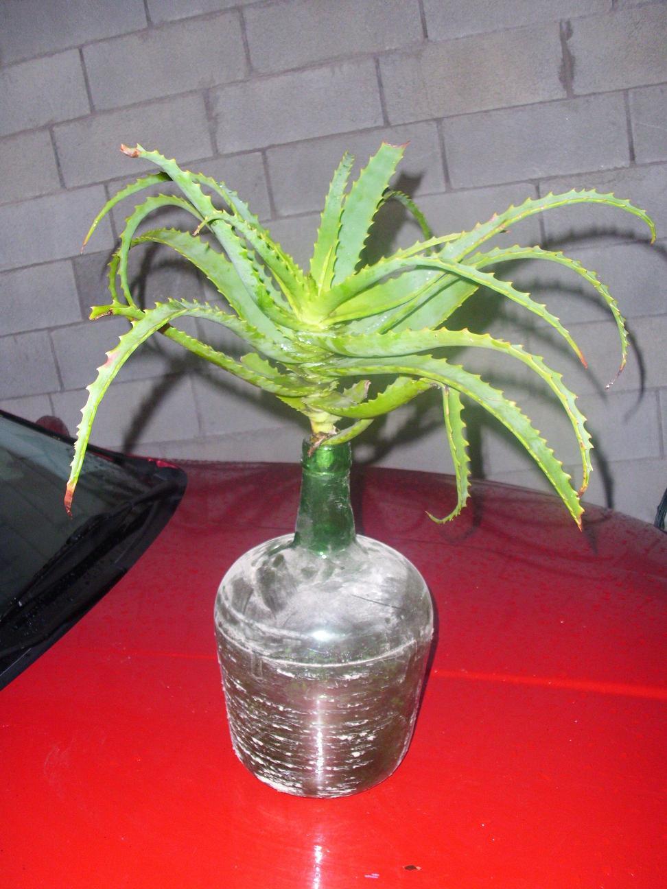 rgh1328708019u.JPG