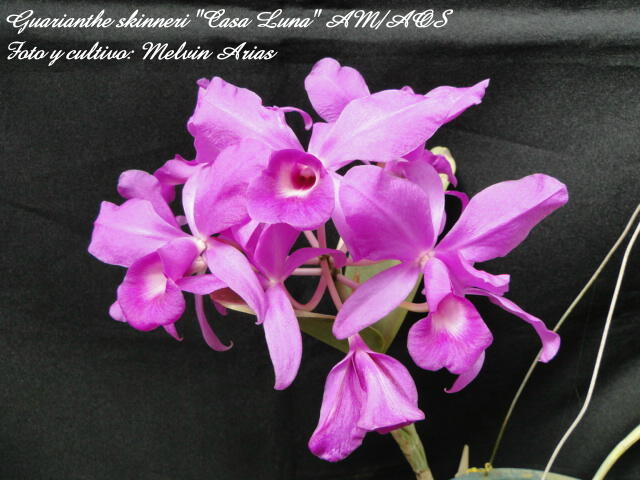rgh1329164525g.JPG