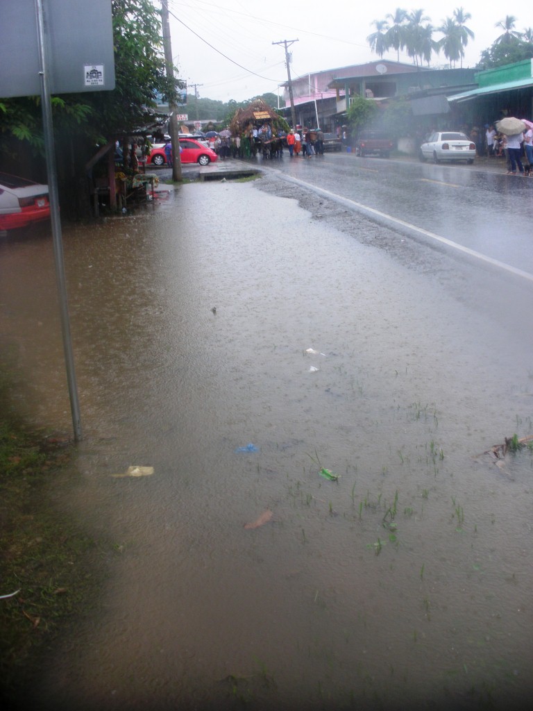 rgh1350466003w.JPG