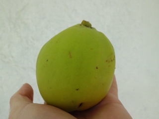 rgh1360874649n.jpg