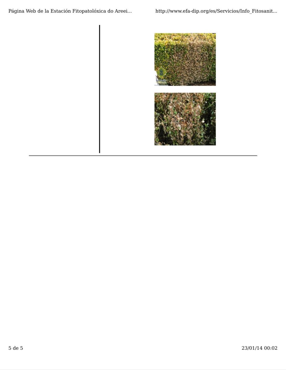 rh0q.jpg
