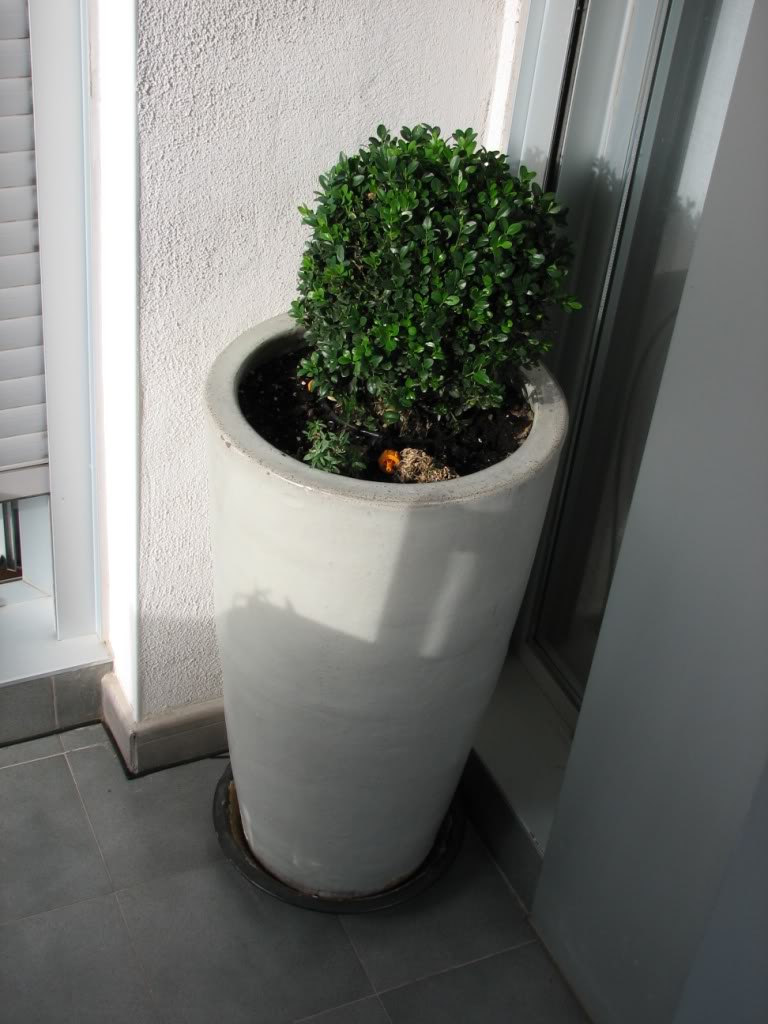 riego005.jpg