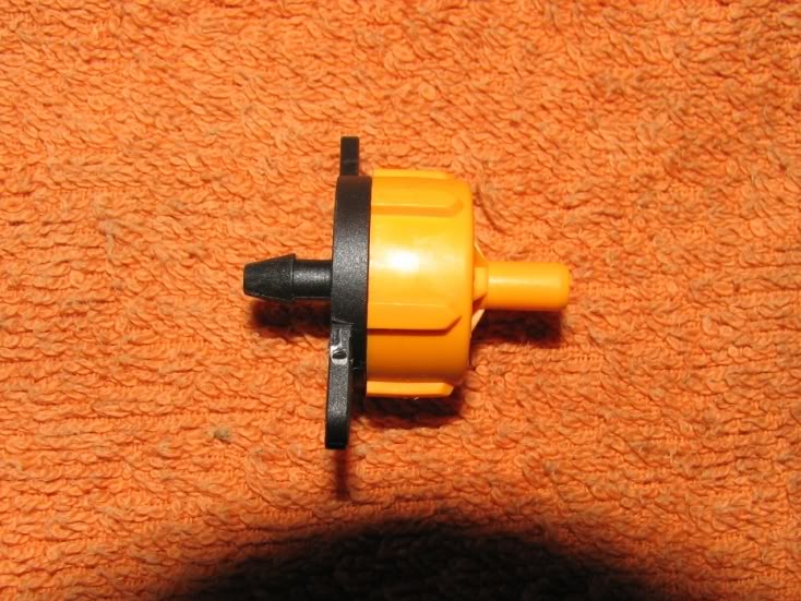 riego012.jpg