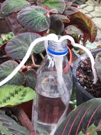riego_cordo%C2%A6%C3%BCn_plantas_vidalowcost_Reparalia.jpg
