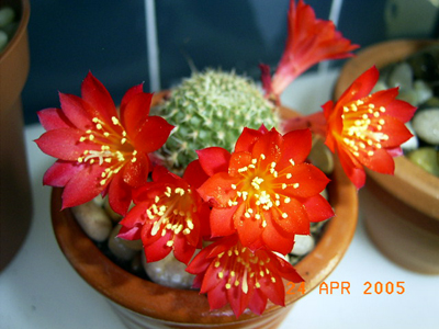 RIMG0006.jpg