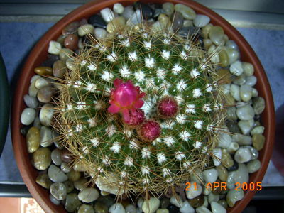 RIMG0072.JPG
