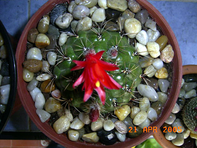 RIMG0086.JPG