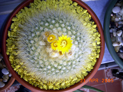 RIMG0087.JPG
