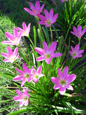 rimg0689.jpg