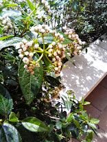 rMtsXRfvMgMvG8L1y_4urOpU1T5KzxkdphMfA49g0w=w156-h207-p-no.jpg