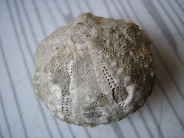 Roca_001.jpg