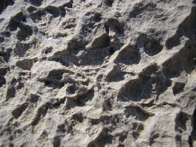 Roca_021.jpg