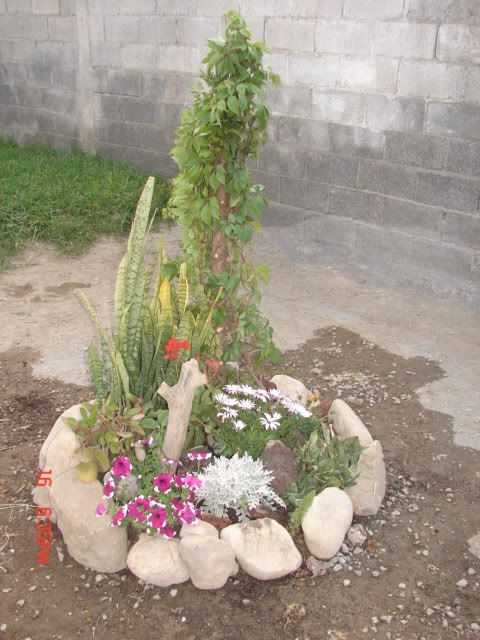 rocalla002.jpg