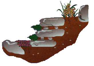 rocalla01.gif
