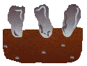 rocalla06.gif