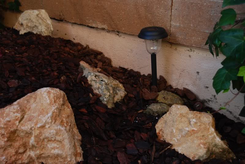 rocalla6.jpg