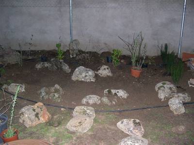 rocallajose.jpg