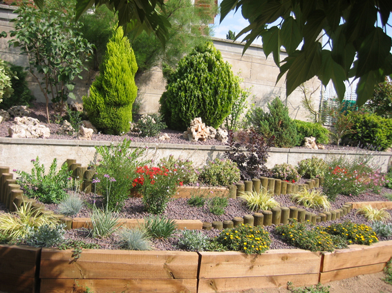 rocallaparapisciplantas.jpg