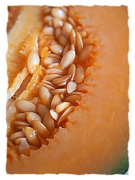 rodaja_melon.JPG
