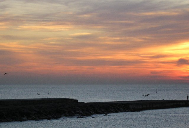 roig_006.jpg